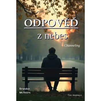 Kniha Odpověď z nebes [E-kniha] - Brandon McYntire