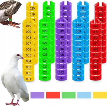 Obraz KROUŽKY NA NOHY PRO SLEPICE SADA 100 KS 12MM