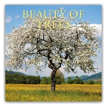 Encyklopedie Beauty of Trees - Die Schönheit der Bäume 2026 - 16-Monatskalender - Gifted Stationery Co. Ltd
