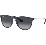 Ray-Ban Erika Color Mix RB4171 60028G