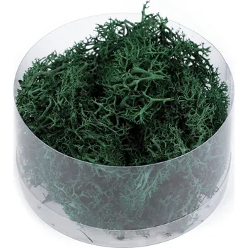 umělá květina Stabilizovaný / preparovaný mech 20 g v krabičce, malé, 4 zelená tmavá
