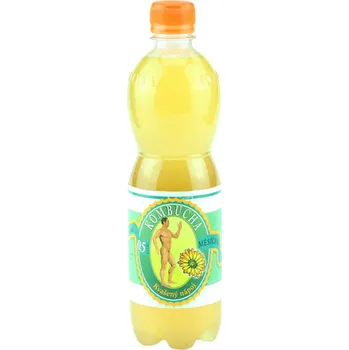 kombuchy Stevikom Kombucha měsíček 500 ml