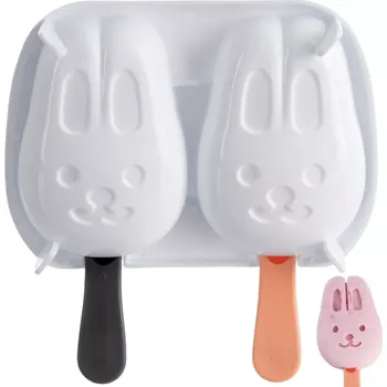 Kuchyňské náčiní Forma na nanuk