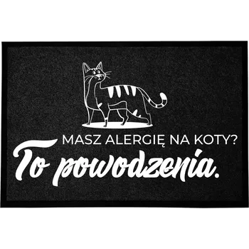 VSTUPNÍ ROHOŽKA POHODLNÁ VTIPNÁ S POTISKEM 40X60 PROTISKLUZOVÁ ANTRACIT