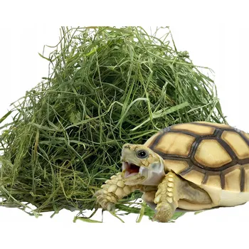 Krmivo pro hlodavce Seno pro želvu 0,5 kg sena, zdroj vlákniny ve stravě, nejlepší přírodní