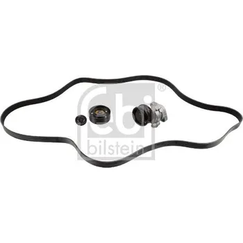 Sada žebrovaných klínových řemenů FEBI BILSTEIN 30418