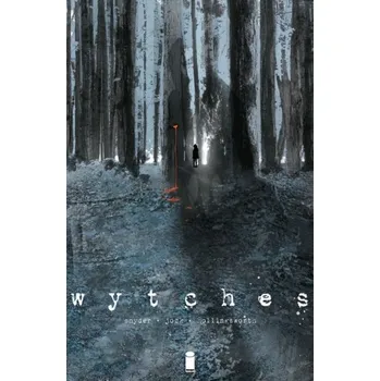 Kniha Wytches Volume 1 - Scott Snyder