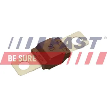 Autoelektrika Pojistka FAST FT83401