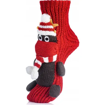 Dámské ponožky Ponožky velikost 39-42