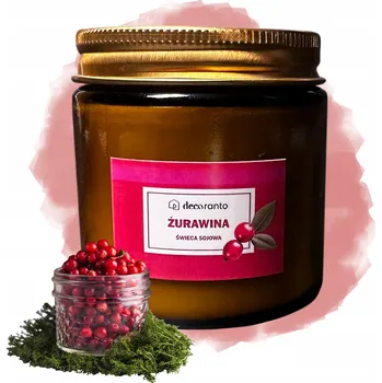 Svíčka Sójová vonná svíčka BRUSINKY ve skleněné nádobě 120 ml Dárek Vánoce