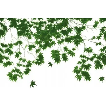 Obraz Plakát Podzimní listí bez rámu 175 x 115 cm