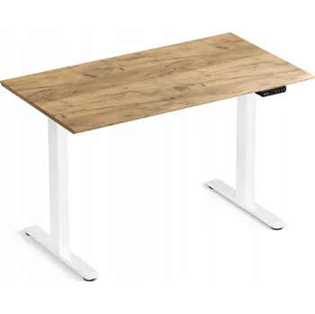 Psací stůl Obdélníkový psací stůl LVNSYSTEM 120 x 67 x 90 cm bílý, dub craft zlatý