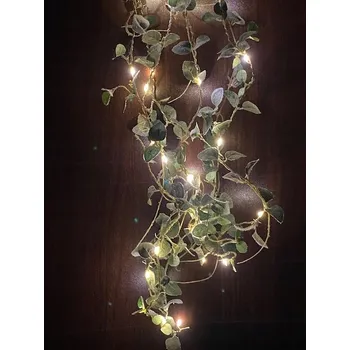 Vánoce Vánoční osvětlení na stromeček Kaemingk vnitřní, 100 m, 21-50 světýlek