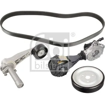 Sada žebrovaných klínových řemenů FEBI BILSTEIN 107428