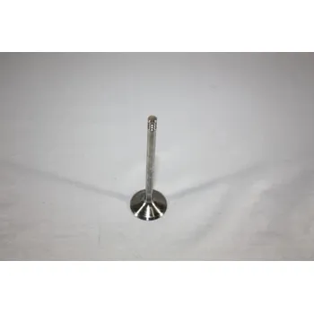 Ventil motoru Sací ventil AUTOMEGA 130106910