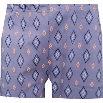 Chlapecké spodní prádlo Dětské Trenýrky FOLTÝN DT147 Velikost: 164