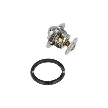 Těsnění motoru Termostat, chladivo NRF 725206