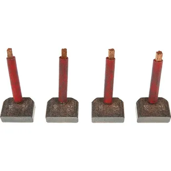 Startér Uhlíkový kartáč, startér AS-PL SB2026S