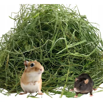 Krmivo pro hlodavce Nejlepší seno 1 kg – zpestření stravy pro pískomila