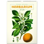 Notique Nástěnný kalendář Vintage…