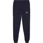 Puma pánské tepláky 658598 06 modré, velikost M