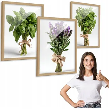 Obraz Sada 3 obrazů motiv ROSTLINY BYLINKY dřevěný rámeček 30x40 triptych do kuchyně
