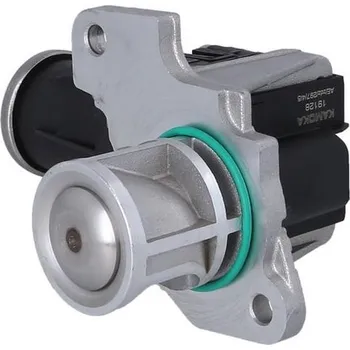 Ventil palivového systému AGR-Ventil KAMOKA 19128