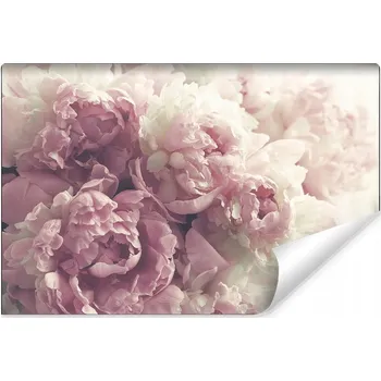 Fototapeta FOTOTAPETA DO OBÝVACÍHO POKOJE LOŽNICE PIVOŇKY KVĚTINY PŘÍRODA BOHO 405x270