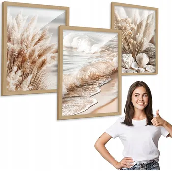 Obraz Sada 3 obrazů vzor MUŠLE, MOŘE, BOHO dřevěný rámeček 30x40 triptych