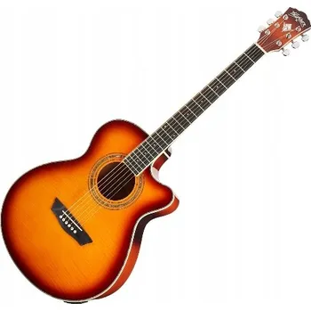 Hudebniny WASHBURN EA 15 (ITB) - Elektroakustická kytara