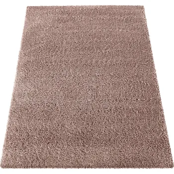Koberec Moderní koberec Tanso - delší vlas - starorůžový Rozměr koberce: 120x170 cm