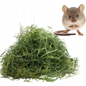 Krmivo pro hlodavce 0,5 kg sena pro myši, seno pro malé myšky chované doma, bílé