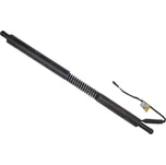 Elektromotor, zadní dveře DENCKERMANN G100091