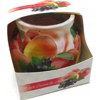 Svíčka Parafínová vonná svíčka Černý rybíz & Mango Admit 1 ks