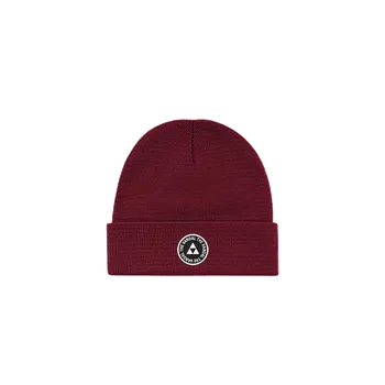 Čepice Zimní čepice THE VANDAL Logo Beanie Burghundy