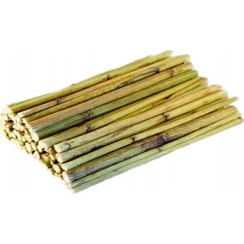 Krmivo pro hlodavce Ham-Stake Topinamburové stonky 100 g