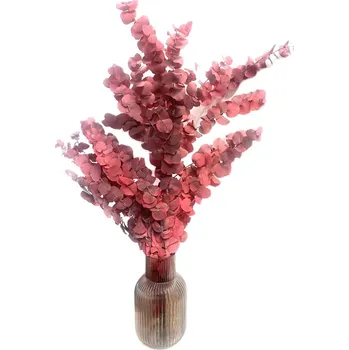 umělá květina Dovoz z EU Stabilizovaný eukalyptus STUARTINA 140g vínová/červená