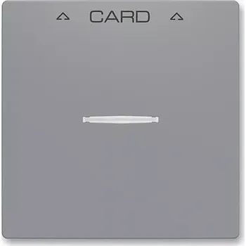 vypínač a zásuvka Kryt spínače kartového, 3559T-A00700 241, ABB, Zoni®, šedá (ABB, Zoni®, šedá)