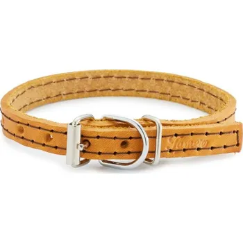 Obojek pro psa Kožený obojek Tamer MINI horčicový Obvod: 21 - 26 cm, Šířka: 1 cm