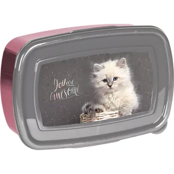 Svačinový box Paso svačinový box s kočičkou 750 ml