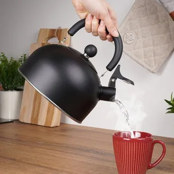 Konvice na čaj Rychlovarná konvice z nerezové oceli s píšťalkou 2 l