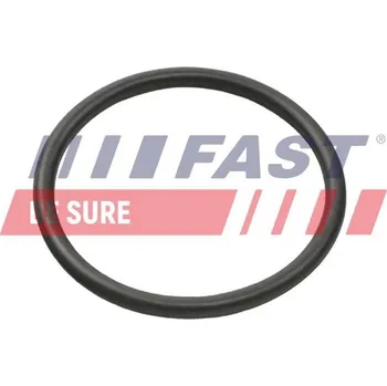 Těsnění motoru Těsnicí kroužek, hadice plnicího vzduchu FAST FT49935