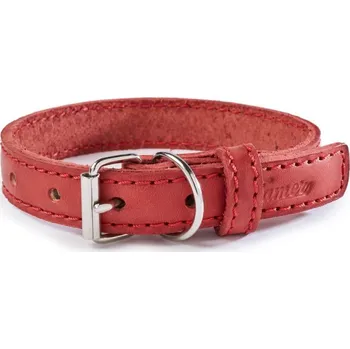 Obojek pro psa Kožený obojek Tamer červený Obvod: 30 - 40 cm, Šířka: 2,5 cm