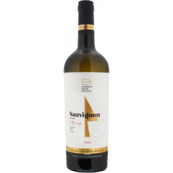 Víno Vinařství Velké Bílovice Sauvignon pozdní sběr 750ml