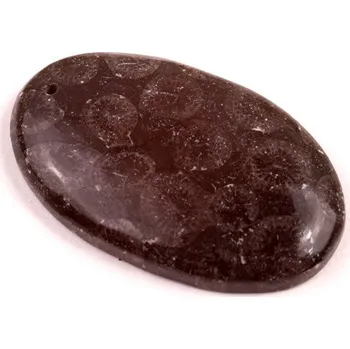 Přírodní kámen Vrtaný kabošon Black Fossil č.V137 (36x22x6mm)