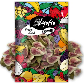 Sušená potravina Lyofio Mrazem sušené fíky čtvrtky 100 g