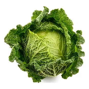 Kapusta hlávková, cca 1.28kg