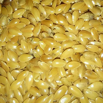 Olejářství Lněné semínko Raciol Hmotnost: 300 g 1:1