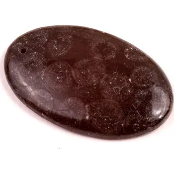 Přírodní kámen Vrtaný kabošon Black Fossil č.V138 (35x23x5mm)