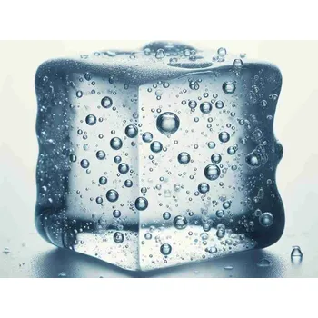 Přisada na vaření a pečení Olejářství Led do balíku Hmotnost: 1000 g